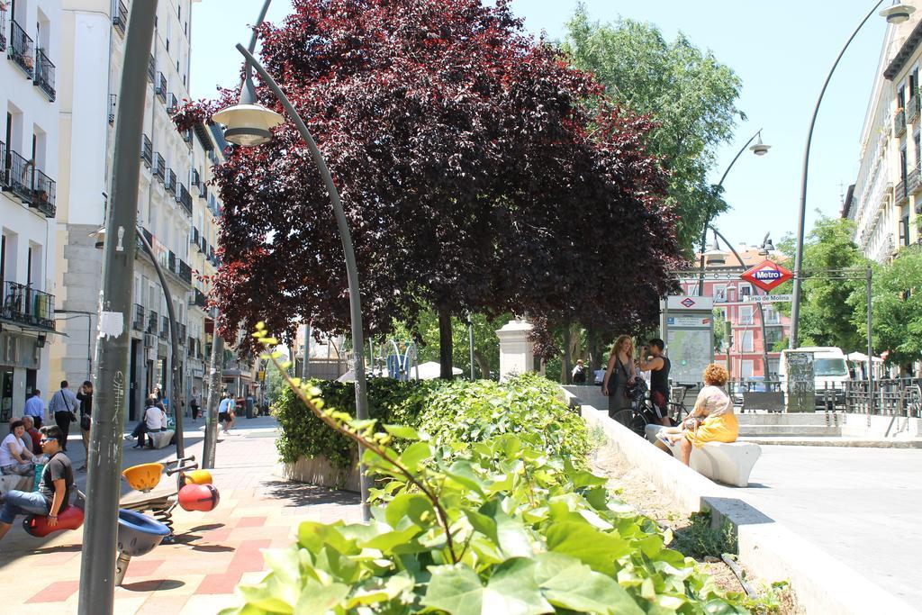 Hostal Graciela Madrid Eksteriør billede